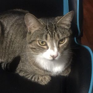 Meet your Posher, Mary ann